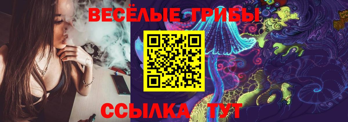 Петрозаводск  Псилоцибиновые грибы мицелий  Вход с VPN 